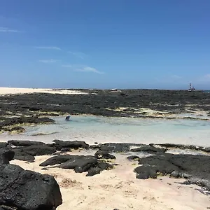 Serena La Oliva